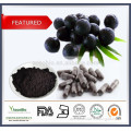 100% Natural Pure Acai extract/Acai berry extract powder/acai powder